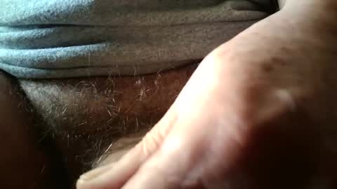 Always crusing cams online show from February 3, 2026, 6:35 pm