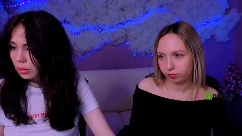 Meow online show from March 24, 2026, 8:36 pm