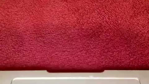 rimalova online show from October 25, 2025, 6:32 am