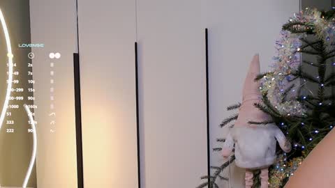 Snapshot of rinassecret chatting on December 25, 2024, 8:29 am Rina online show from December 25, 2024, 8:29 am