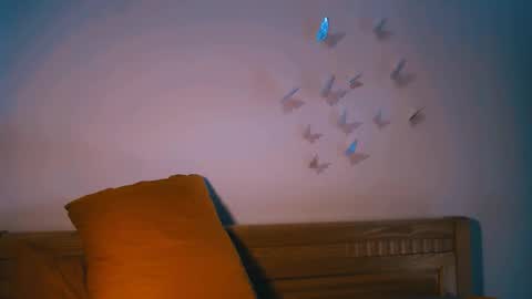 Rita online show from February 14, 2026, 7:38 am