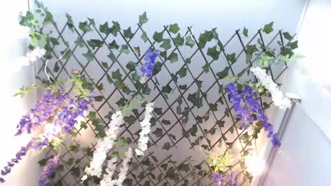 Risitos De Oro online show from April 19, 2026, 10:12 pm