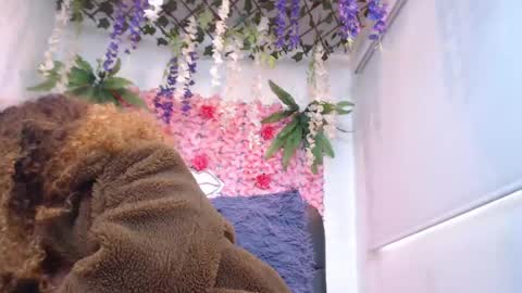 Risitos De Oro online show from April 20, 2026, 6:31 pm