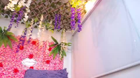 Risitos De Oro online show from April 22, 2026, 2:14 am