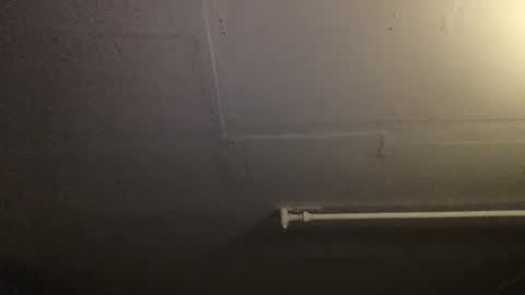 RoastingCorn online show from December 6, 2024, 11:11 am