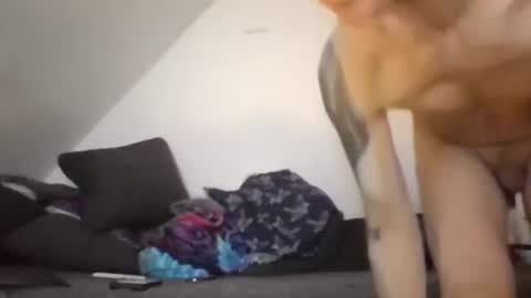 Zenek online show from February 26, 2026, 8:13 am