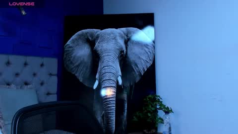 rocco_santos online show from September 28, 2025, 3:12 am