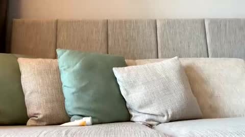 Snapshot of rockboy3000 chatting on January 5, 2025, 11:55 pm rockboy3000 online show from January 5, 2025, 11:55 pm