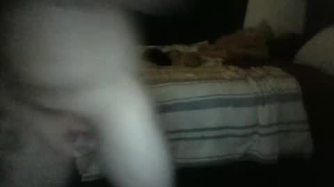 rockharder000 online show from December 23, 2024, 11:25 am