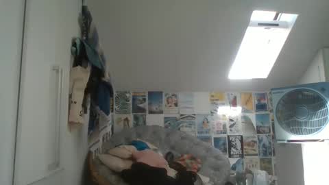 rodofra online show from March 13, 2026, 11:06 am