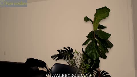 Valery Roldans online show from February 4, 2025, 3:44 am