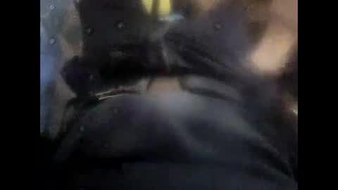 rollino83 online show from November 6, 2025, 10:38 am