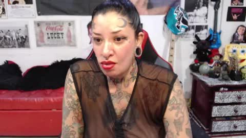 Rolly online show from December 15, 2024, 10:26 pm