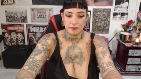 Rolly online show from November 11, 2025, 7:03 pm