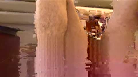 Sexyboyforlick online show from November 29, 2025, 12:02 am