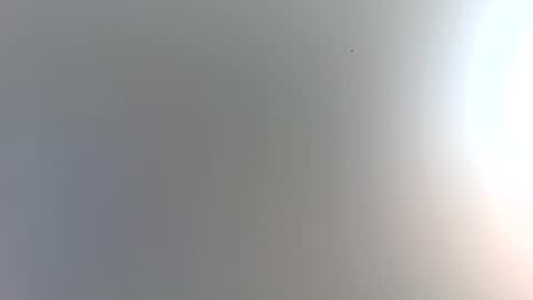 Trinked online show from January 9, 2026, 2:36 am