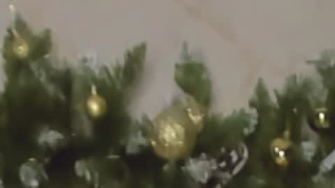 Chloe online show from December 27, 2024, 10:05 pm