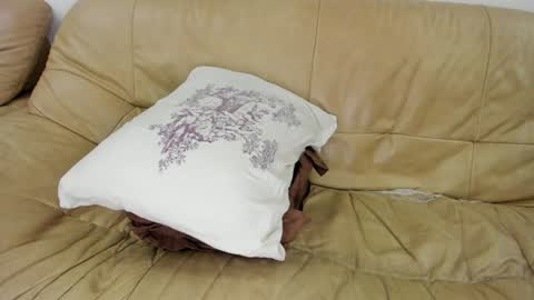 Rosa online show from January 28, 2025, 12:26 am