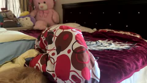 Snapshot of rose69904260 chatting on July 30, 2026, 7:13 pm Rose and Jacks Pay Room online show from July 30, 2026, 7:13 pm