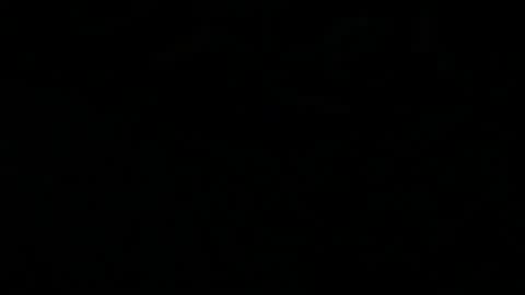 Ocean online show from November 22, 2025, 2:54 am