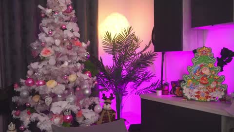 Amii online show from December 25, 2024, 11:10 pm