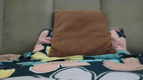 Rossdzires4u online show from January 10, 2025, 7:04 am