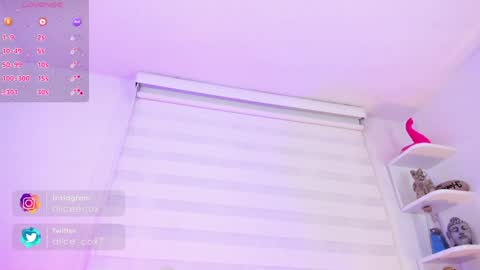   online show from January 16, 2025, 11:15 am