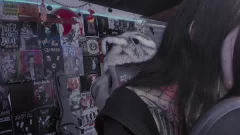 rot online show from March 1, 2026, 6:10 pm