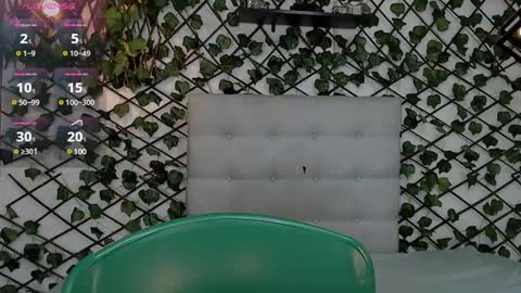 Rous online show from February 1, 2025, 3:41 am