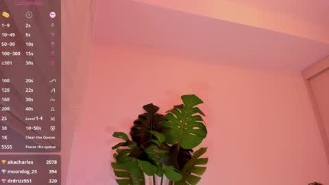 DREAM online show from January 4, 2025, 2:46 am