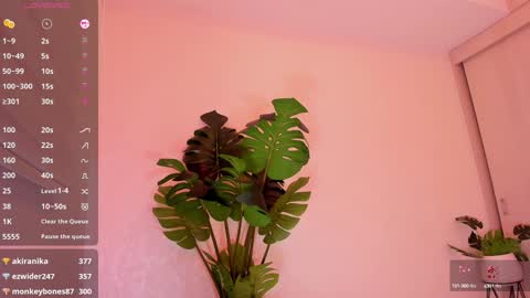 DREAM online show from January 5, 2025, 12:20 am