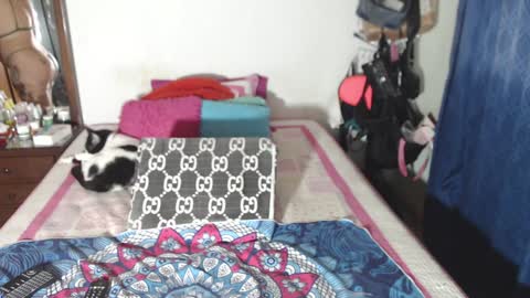 rousse online show from December 29, 2024, 2:49 am