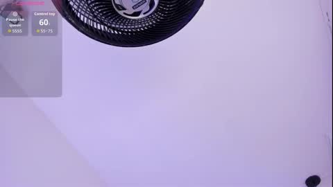 Roxie  online show from March 16, 2026, 7:29 pm