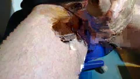 Snapshot of rudi_rudi_rudi_rudi chatting on July 13, 2026, 1:36 pm rudi_rudi_rudi_rudi online show from July 13, 2026, 1:36 pm