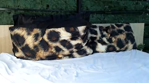 ryanstorm1 online show from October 24, 2025, 10:28 pm