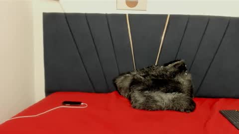 ryder_cum23 online show from November 12, 2025, 3:40 am