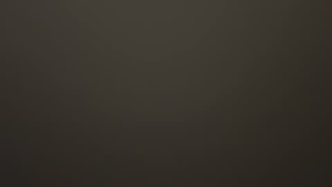 saconuts online show from October 9, 2025, 12:25 pm