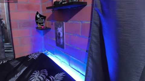 sainix_ online show from December 18, 2024, 2:21 am