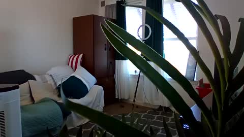 salis1981 online show from March 3, 2025, 5:39 pm