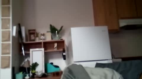 salis1981 online show from November 12, 2025, 6:08 pm