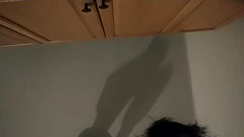 salmonman1305 online show from January 2, 2025, 1:17 am