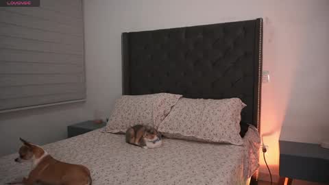 Snapshot of salomedyla chatting on May 12, 2026, 1:47 am salomedyla online show from May 12, 2026, 1:47 am