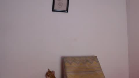 salvatore_amator online show from April 26, 2026, 2:04 pm