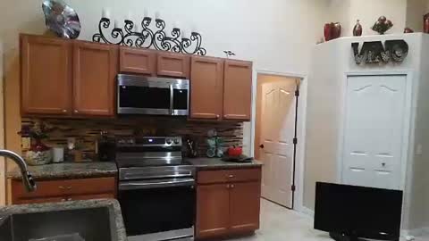 sam_papithebarber online show from November 6, 2025, 4:24 am