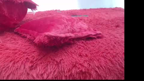 samael_leviatan online show from March 8, 2025, 5:01 pm