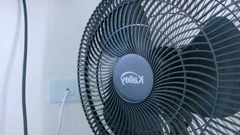   online show from November 20, 2025, 11:21 am