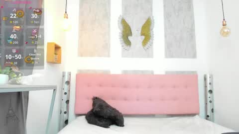    online show from April 21, 2026, 11:16 am