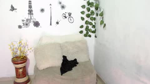 SAMIRA online show from January 8, 2025, 1:42 am