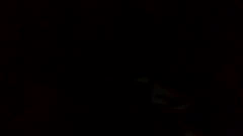 samjesss online show from March 10, 2025, 2:28 am