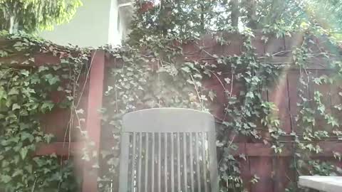 Playful Sammie online show from May 17, 2026, 8:05 pm